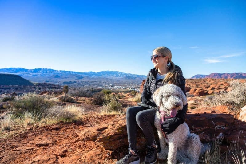 How to Prevent Valley Fever in Dogs How to Prevent Valley Fever in Dogs