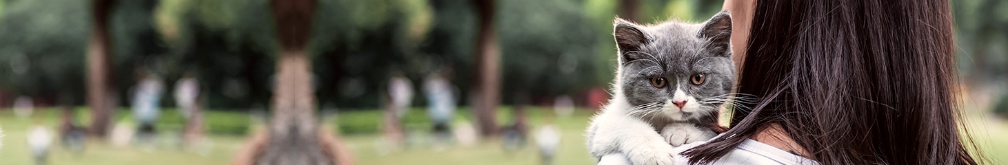 thomasville-veterinary-hospital-banner-3 thomasville-veterinary-hospital-banner-3