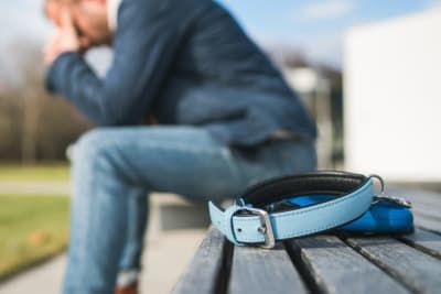 What to Say When Someone Loses a Pet What to Say When Someone Loses a Pet