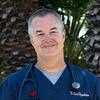 Dr. David Higginbotham Dr. David Higginbotham