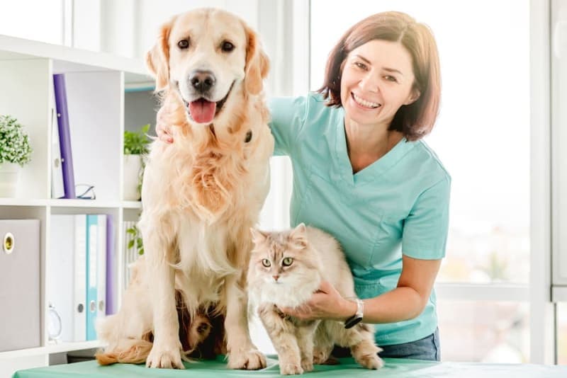 Are Pet Wellness Plans Worth it for Routine Care? Are Pet Wellness Plans Worth it for Routine Care?