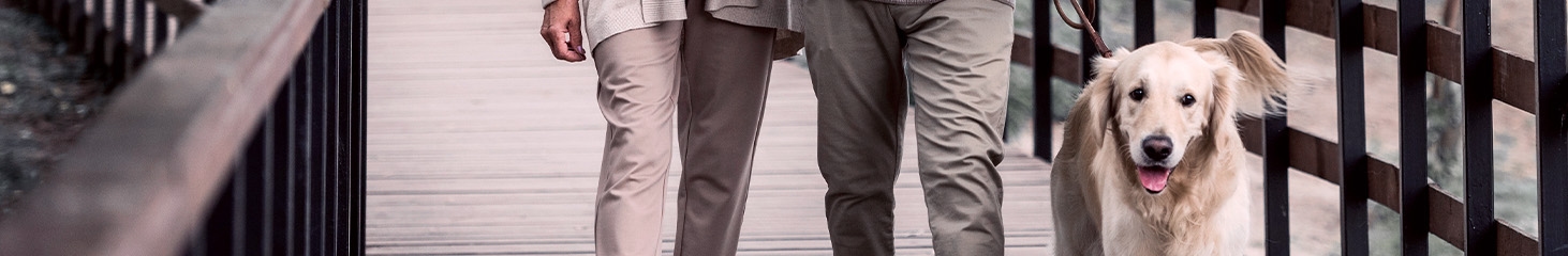 thomasville-veterinary-hospital-banner-3 thomasville-veterinary-hospital-banner-3