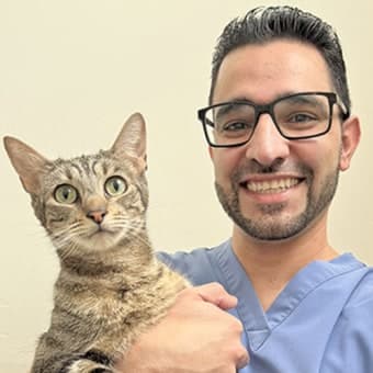 Dr. Saman Partow Navid Dr. Saman Partow Navid