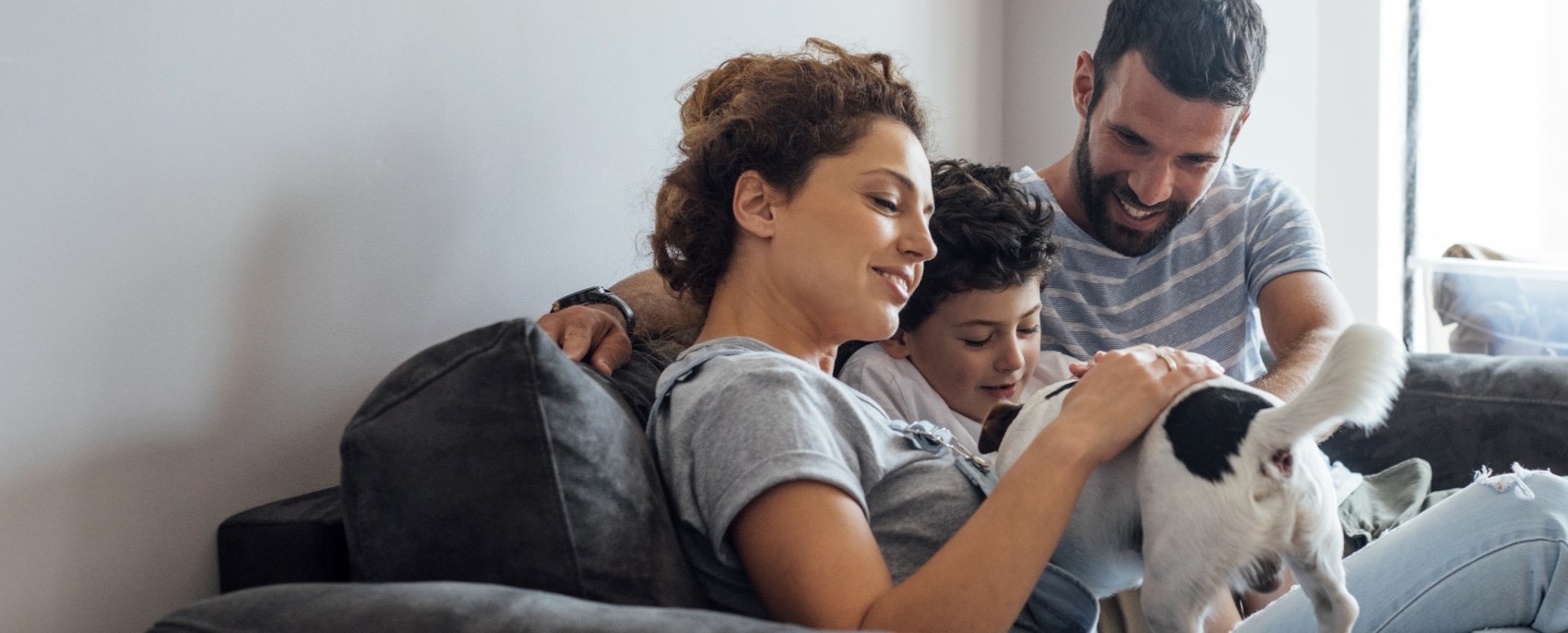 Animal Emergency Clinic of San Diego Hero Image Animal Emergency Clinic of San Diego Hero Image